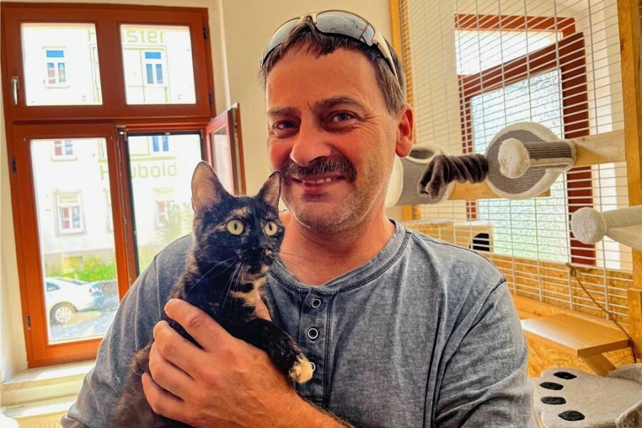 Das sind die Geschichten hinter den Fotos von Frankenberger Katzen - Mike Sonntag, Chef des Tierschutzvereins, mit der Mutter von sechs kleinen Katzen, die jetzt alle ein neues Zuhause suchen. Bei dem ausgewachsenen Tier ist das in ein paar Wochen nach der Kastration der Fall.