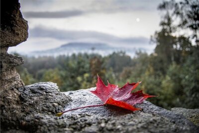 Das sind die Sieger 2019 - 3. Platz: Ein regnerischer Tag, Fels, ein Berg und ein markantes Blatt: Das sind die Zutaten für das perfekte Herbstbild von Philipp Henze aus Annaberg-Buchholz.