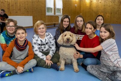 Das total verrückte Ferienlager in Limbach - Für ein großes Hallo sorgte Therapiehund Sunny. Der Goldendoodle gehört Katja Hendel, Leiterin der DRK-Sozialstation Reichenbach, und ist unter anderem in der Tagespflege im Einsatz und beliebt. 