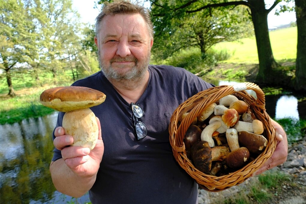 Das Vogtland startet in die Pilz-Saison: Die Rezepte der Pilzberater ...
