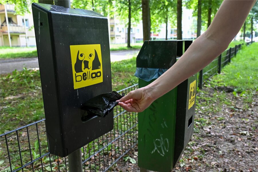 Debatte um Hundetoiletten in Chemnitz: Ist das wirklich eine Aufgabe der Stadt? - Eine Hundetoilette am Schloßteich. 46 derartige Beutelspender gibt es im Stadtgebiet. Befüllt werden sie von der Stadt, Bürgerplattformen oder Freiwilligen.