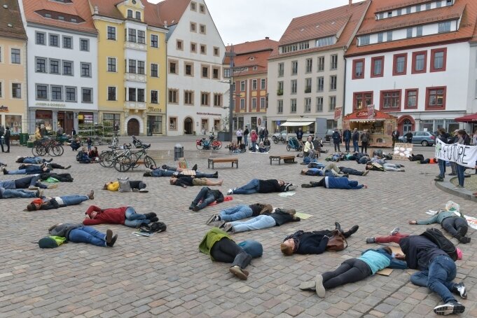 Demonstranten mahnen - Mit einer Protestaktion auf dem Freiberger Obermarkt haben Menschen am Freitag auf die Klimakrise aufmerksam gemacht. 