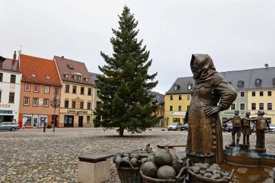 Der Baum steht, der Weihnachtsmarkt ist abgesagt - Seit Donnerstagvormittag steht eine 16 Meter hohe Weißtanne als Weihnachtsbaum auf dem Markt von Glauchau. 