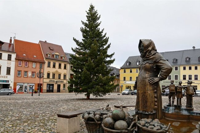 Seit Donnerstagvormittag steht eine 16 Meter hohe Weißtanne als Weihnachtsbaum auf dem Markt von Glauchau. 