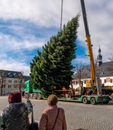 Der Baum steht, doch die Sorgen wachsen - Unter neugierigen Blicken wird die rund 15 Meter hohe Tanne auf dem Marienberger Markt mit einem Kran in Position gebracht. 