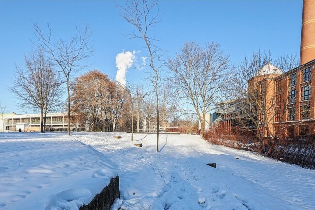 Der Brückenpark: Eine Chemnitzer Zeitreise - Auch im Winter ist der Park einen Spaziergang wert.