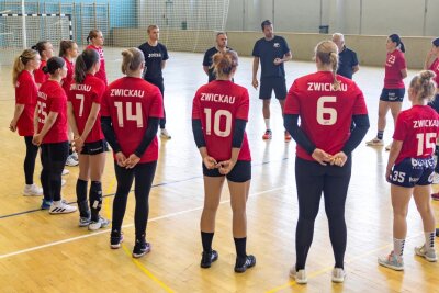 Der BSV Sachsen Zwickau geht an seine Grenzen - Seit dieser Woche läuft das Mannschaftstraining bei Handball-Bundesligist BSV Sachsen Zwickau. 