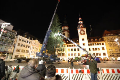 Der Chemnitzer Weihnachtsbaum steht - 