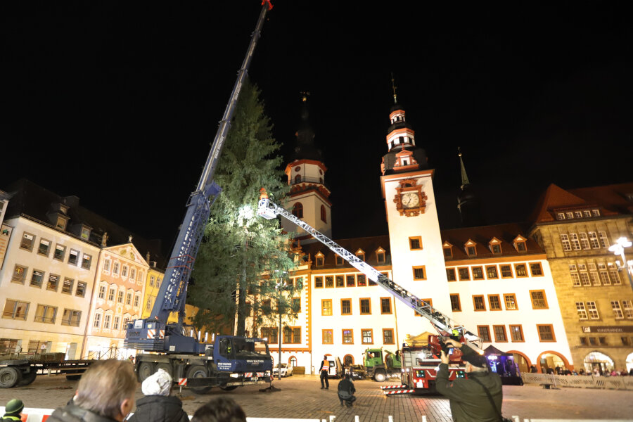 Der Chemnitzer Weihnachtsbaum steht - 