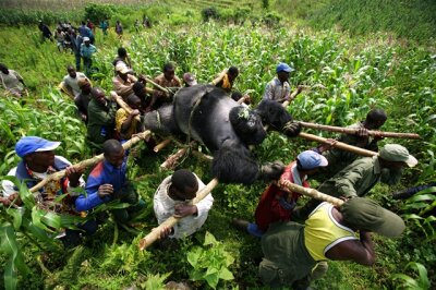 Der "Freie-Presse"-Fotopreis für Feriengeschichten von Schülern - Brent Stirtons Gewinnerbild aus dem Kongo