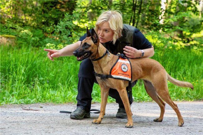 Der Glöckchenklang verrät es: Eine rettende Spürnase ist nah - Aus dem Tierheim Freiberg stammt Hündin Grit. Sie lernt als "Rettungshündin in Ausbildung" mit Daniela Schröter. 