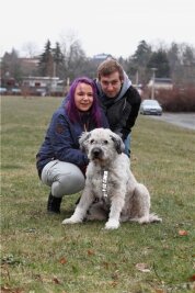 Der Hund, der die A 72 lahmlegte - "Unser Willy hatte 1000 Schutzengel", sagt Frauchen Jennifer Köhler. Nachdem der kranke Streuner am Freitag auf der A 72 beidseitig für Stau gesorgt hatte, erholt er sich jetzt daheim.