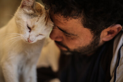 Mohammed Alaa al-Jaleel, auch bekannt als "der Katzenmann von Aleppo", versorgt eine Katze im Ernesto's Cat Sanctuary, das er in Kafr Naya in Syrien betreibt.