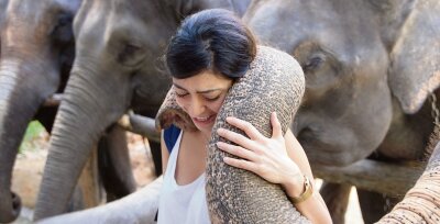 Der Kuss des Elefanten - Vor allem weibliche Besucher mögen die Nähe zu den Elefanten - was offenbar auf Gegenliebe stößt.