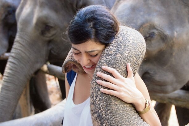 Vor allem weibliche Besucher mögen die Nähe zu den Elefanten - was offenbar auf Gegenliebe stößt.