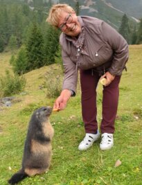 Der Miskus lässt sie auch im Ruhestand nicht los - Auf der Bachelalm zwischen Raumsau, Filzmoos und Dachstein in Österreich fand Regina Herberger im vergangenen September neue Freunde. Sie wurde hier von Murmeltieren begrüßt. Eins ließ sich sogar füttern. 