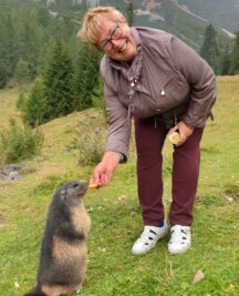 Der Miskus lässt sie nicht los - Auf der Bachelalm zwischen Raumsau, Filzmoos und Dachstein in Österreich fand Regina Herberger im vergangenen September neue Freunde. Sie wurde hier von Murmeltieren begrüßt. Eins ließ sich sogar füttern. 