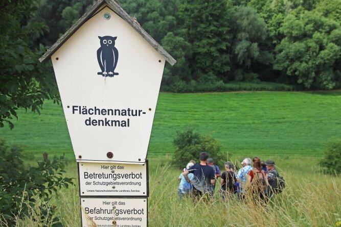 Der Natur auf der Spur: Was blüht da? - Das Flächennaturdenkmal "Döbitzhang" bei Crimmitschau war Ziel einer botanischen Exkursion der Kreisnaturschutzstation Gräfenmühle.