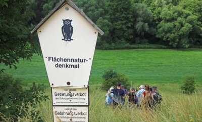Der Natur auf der Spur: Was blüht da? - Das Flächennaturdenkmal "Döbitzhang" bei Crimmitschau war Ziel einer botanischen Exkursion der Kreisnaturschutzstation Gräfenmühle.
