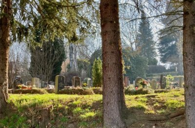 Der neue Friedhofverwalter von Lößnitz - Der Friedhof Lößnitz ist nicht nur letzte Ruhestätte, sondern auch Biotop und historisches Kleinod. 