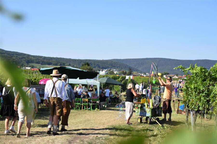 Der Reisetipp Österreich: Neue G’schichten vom Wienerwald - Wienerwald ohne Wein – undenkbar. Jedes Jahr verwandelt sich der Wanderweg zwischen Mödling und Bad Vöslau zum längsten Schank der Welt.