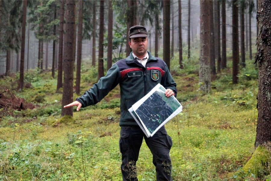 Der Sachsenforst beginnt am Montag im Dürrenbachtal Klingenthal mit umfangreichen Forstarbeiten - Revierförster Sascha Barthel im Juli bei der Vorstellung der Forstarbeiten für das Dürrenbachtal.