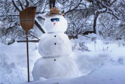 Der Schneemann: ein wahrer Winterheld - 