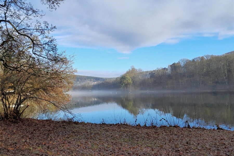 Der See im Fürstlich Greizer Park erhält in diesem Jahr eine Kur: Warum die notwendig ist - Der See im Fürstlich Greizer Park wird in diesem Jahr entschlammt.