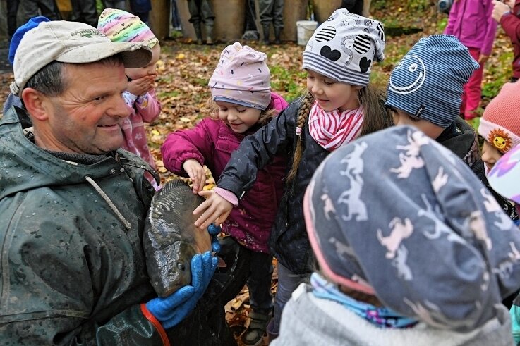 Der Silvesterkarpfen bleibt bezahlbar - Traditionell verfolgten auch Kinder der Kita Neuwallwitz das Abfischen. Wer sich traute, durfte auch mal einen Karpfen anfassen.