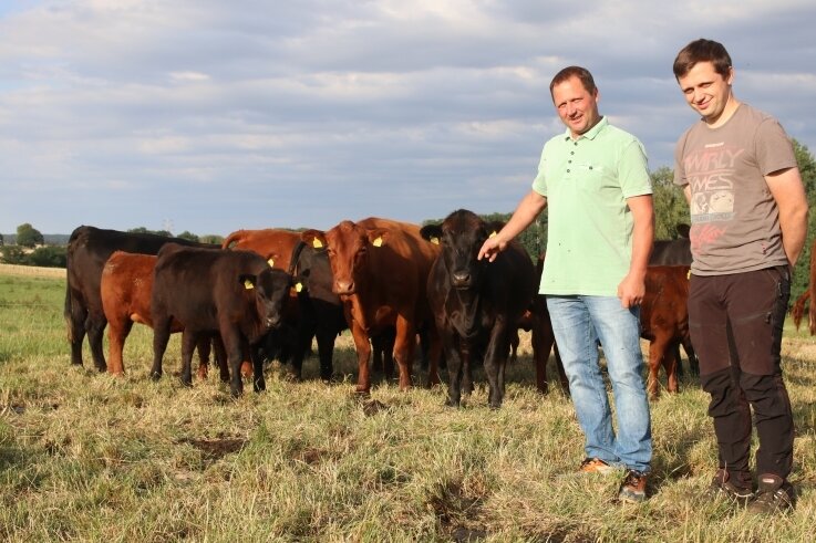 Der Tischler, der nie Bauer sein wollte und jetzt Rinder züchtet - Ralf Pammler und Ricardo Lange mit ihrer Angus-Herde. 