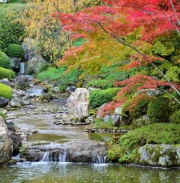 Der Weg zum Glück - Von Menschenhand erschaffen: der Teichgarten Yoko-en auf dem Gelände des Untertempels Taizo-in in Kyoto.