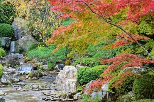 Der Weg zum Glück - Von Menschenhand erschaffen: der Teichgarten Yoko-en auf dem Gelände des Untertempels Taizo-in in Kyoto.