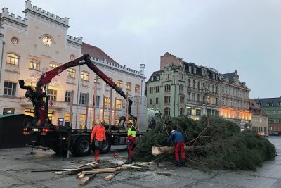 Der Zwickauer Weihnachtsbaum ist Geschichte - Auf dem Zwickauer Hauptmarkt ist am Dienstagfrüh der Weihnachtsbaum abgebaut worden. 