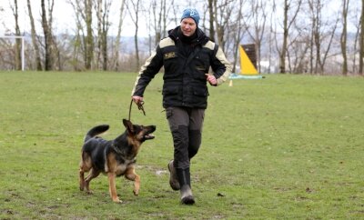 Deutsche Schäferhunde im intensiven Charaktertest - Peter Kaspereit, Vorstandsmitglied des RSV Lugau, führt seinen zweijährigen Rüden Kuno von Siegerblut auf den Platz. Der Hund machte am Wochenende seinem Namen alle Ehre. 