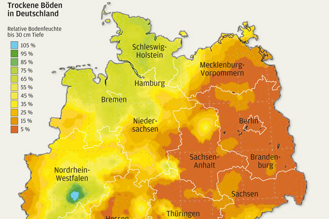 Deutschland trocknet aus - Sachsen ist besonders betroffen
