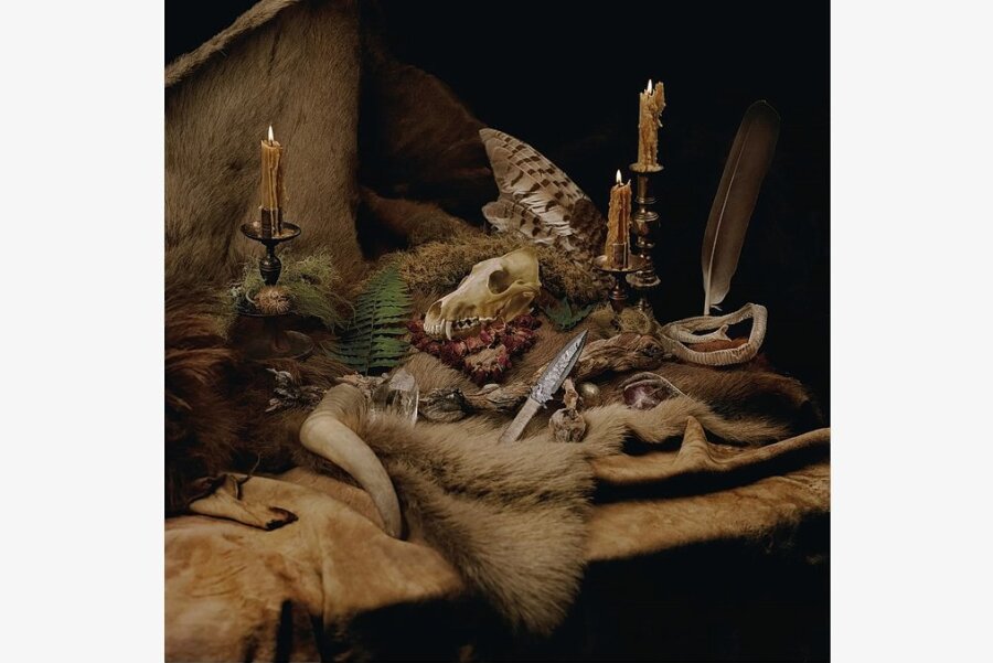 Die Alben des Jahres - Platz 14: "Primordial Arcana" von Wolves In The Throne Room - 