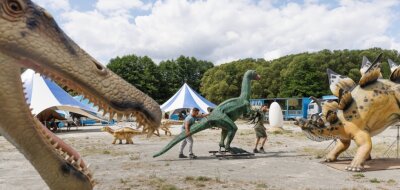 Die Dinosaurier kommen nach Annaberg - 