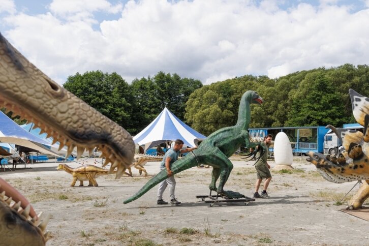 Die Dinosaurier kommen nach Annaberg - 