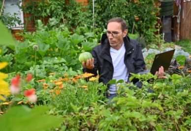 Die Ernte der Anderen - Thomas Seidel in dem Garten, in dem er Gemüse - unter anderem diese Zucchini-Art - anbaut, das er auch im Internet zum Tausch anbietet.