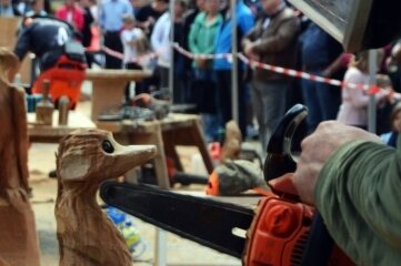 Beim Speedcarving-Wettbewerb hatten die Künstler 45 Minuten Zeit, aus einem Holzblock eine Skulptur zu kreieren. Steffen Rupf (vorn) aus Adorf erweckte dabei ein kleines Erdmännchen zum Leben. 