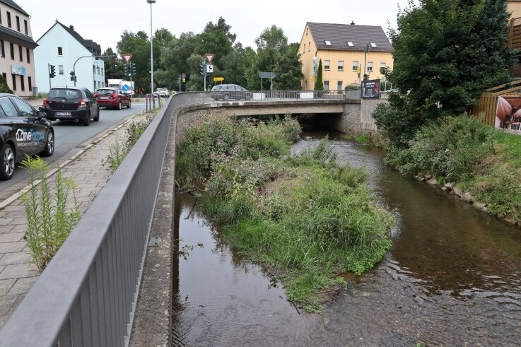 An der Hirschbrücke B 173/B 180 wird der Platz fürs Wasser durch Wildwuchs immer weniger. Diesen Monat indes kam die Flut aus der Kanalisation.