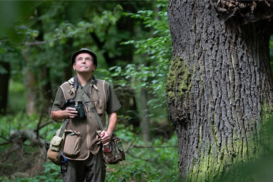 Die Gesichter der Muldeaue - Thomas Krönert kennt als Naturschutzbeauftragter die Muldeauen wie seine Westentasche. Hier ist er im Hartholzauenwald unterwegs.