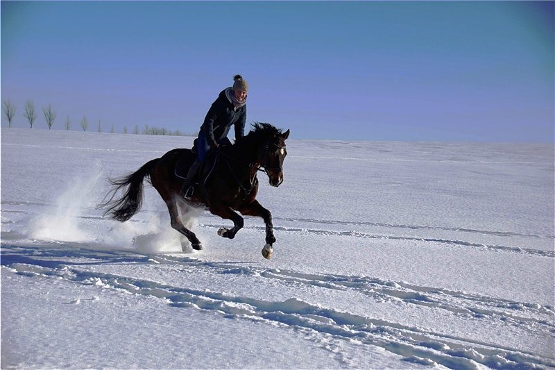 Die Gewinner des Fotowettbewerbes: Tierischer Spaß im Winter - Das Bild ,,Grenzenlose Freiheiten" von Stephanie Fasold aus Stollberg zeigt sie mit ihrem Pferd Roy bei einem Winterausritt. Es vermittelt Energie und Lebensfreude.