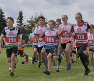Die Kleinsten starten zuerst - 150 Teilnehmer gingen im Vorjahr (Foto) beim Hammerbrücker Berglandlauf an den Start. 