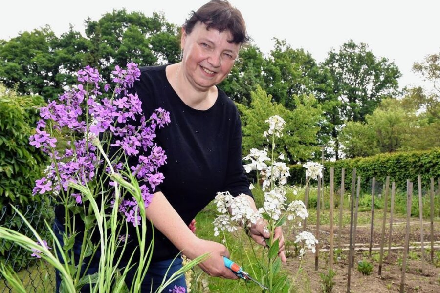 Die Langsamblumen-Züchter aus Weißenborn - Ina Richter engagiert sich für die noch junge Slowflower-Bewegung, die auf heimische Pflanzen und Nachhaltigkeit im Anbau setzt. In Weißenborn will sie zum Aktionstag zu dieser Initiative informieren. 