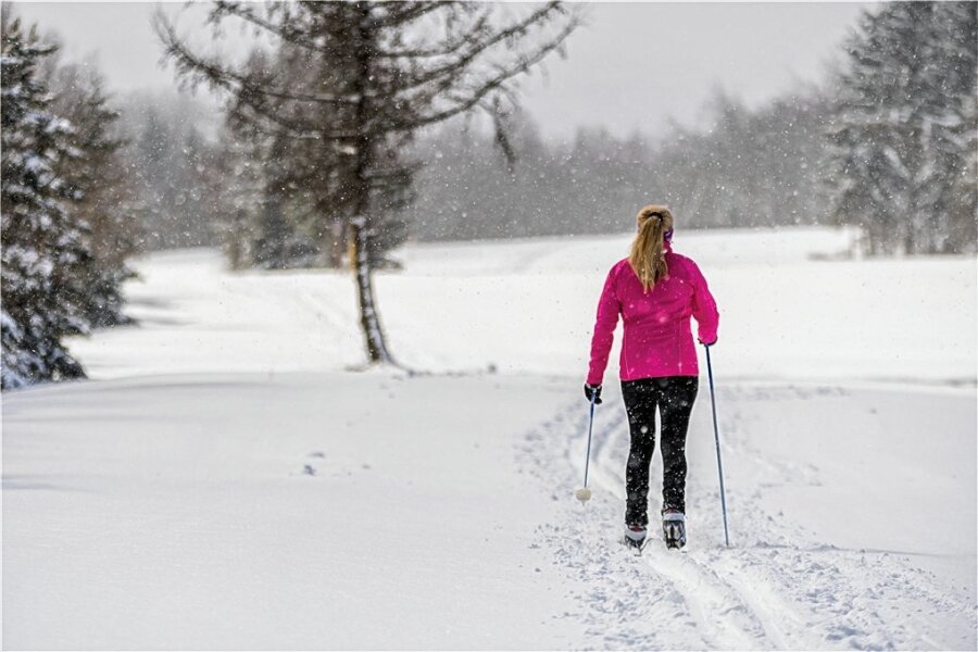 Die Loipen sind gespurt - Wintersportler können in Holzhau und Sayda auf Tour gehen. 