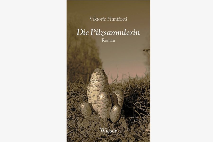 "Die Pilzsammlerin": Bis das Geschehen förmlich explodiert - Viktorie Hanišová: "Die Pilzsammlerin". Wieser Verlag. 350 Seiten. 21 Euro.
