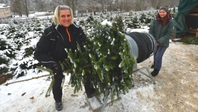 Die Renner unter den Christbäumen - Andrea Oswald (links) und Jenny Beck hatten am Samstag alle Hände voll zu tun. Besonders am Vormittag gab es auf der Weihnachtsbaumplantage in Großrückerswalde großen Andrang. 