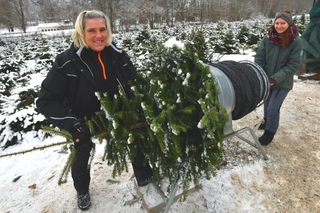 Andrea Oswald (links) und Jenny Beck hatten am Samstag alle Hände voll zu tun. Besonders am Vormittag gab es auf der Weihnachtsbaumplantage in Großrückerswalde großen Andrang. 