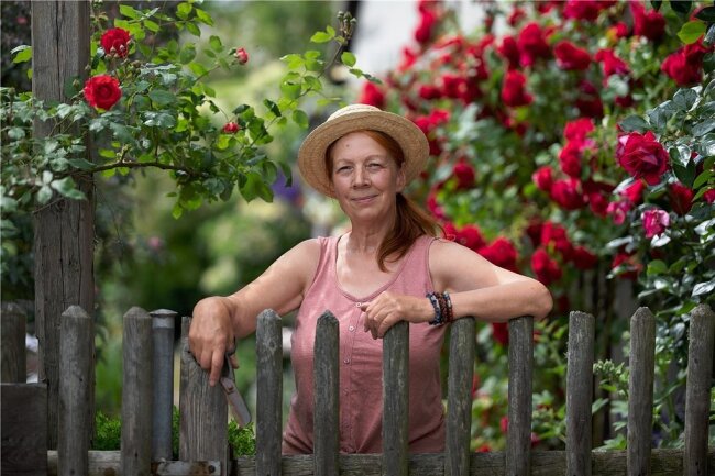 Die Rosenkönigin und ihr Garten in Sachsen - Ellen Mosert hat ihren Garten in Birmenitz nach englischem Vorbild angelegt. Ihre besondere Liebe gehört den alten Rosen mit den meist romantisch gefüllten Blüten und dem unvergleichlichen Duft. 